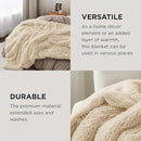 Bedsure GentleSoft Fluffy Beige Blankets Queen Size for Bed, Thick Sherpa Faux Fur Fleece Fuzzy Plush Winter Warm Heavy Soft Queen Blankets, Bedroom Decor Beige Gifts Cozy Gifts for Women Men, 90x90 by CozyNest Decor