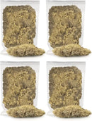 Premium Preserved Reindeer Moss for Potted Plants, Terrariums, Fairy Gardens, Arts and Crafts or Floral Decor Design in Natural (20 Quart) by GreenHaven Gardens