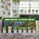 10 Herb Seeds Garden Starter Grow Kit with White Pots, Markers, Nutritional Soil, Watering, Herb Clipper, Complete Indoor Potted Plant Growing Set for Kitchen DIY by GreenHaven Gardens