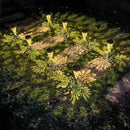 2-Pack Hummingbird Outdoor Solar Pathway Lights, Metal Garden Path Decorations, Waterproof Landscape Lighting for Yard, Lawn, Walkway – Gifts for Women, Mom, Grandma by GreenHaven Gardens
