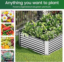 2 Pack Galvanized Raised Garden Bed Outdoor, Metal Garden Bed for Vegetables, Above Ground Garden Box for Flower, Steel Raised Beds for Gardening - 50"x20" by GreenHaven Gardens