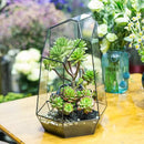NCYP Large Geometric Terrarium - 16 Inches Tall Irregular Open Glass Terrarium Pot - Home Garden Tabletop Decoration Planter for Air Plants Succulents, Handmade (NO Plants, No Door) by CozyNest Decor