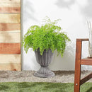 PL10WW Classic Traditional Plastic Urn Planter, 15" x 13", Whitewash by GreenHaven Gardens
