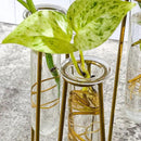 Propagation Station Terrariums with Gold Metal Stand - Kate Aspen 3 Glass Test Tube Planters for Indoor Plant, Air Plants, Plant Clippings, Cut Flowers, Herbs, Succulents | Home Decor Table Decoration by GreenHaven Gardens