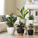 FaithLand 3-Pack Large Planter Pots, 12 10 9 Inch Self Watering Flower Pots for Indoor Outdoor Garden Plants, Black with Brown by CozyNest Decor