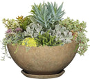 Classic Home and Garden Premiere Collection Planter, Rosie 10", Earth by GreenHaven Gardens