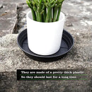 4 Packs 8 Inches Plant Saucer Drip Trays, Round Plastic Plant Pot Saucers Flower Pot Tray for Indoor Outdoor by GreenHaven Gardens