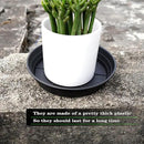 4 Packs 6 Inches Plant Saucer Drip Trays, Round Plastic Plant Pot Saucers Flower Pot Tray for Indoor Outdoor by GreenHaven Gardens