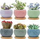 3 inch Ceramic pots for Plants, Small Succulent Pots Set with Drainage, 6 Pack Flower Pot for Indoor Plant, Decorative Planters for Little or Mini Cactus by GreenHaven Gardens