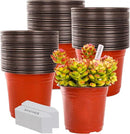 TDHDIKE 6 Inch Plastic Plant Nursery Pot/Pots (200pcs Pots and 200pcs Plant Labels) Seedlings Flower Plant Container (Red) Seed Starting Pots Indoor Outdoor by GreenHaven Gardens