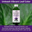 3-1-2 African Violet Fertilizer for Indoor Plants: Liquid Fertilizer with Essential Micronutrients Drops - Plant Food for African Violets (16 OZ) by GreenHaven Gardens