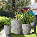 Craft flowerpots 16"+12"+10" Dia Round Concrete Planter Set of 3 Large Outdoor/Indoor Planter Pots Containers with Drainage Holes and Rubber Plug for Home Garden (Grey, Large) by CozyNest Decor