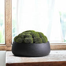 Olly & Rose Copenhagen Large Ceramic Planter Bowl Shallow Plant Pot - Matt Black Flower Pot Indoor and Outdoor Garden Décor… by GreenHaven Gardens