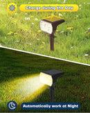 Kaxiida Solar Lights Outdoor Waterproof IP68, 3 Lighting Models Solar Powered Spot Lights Outdoor, 56LED Light Dusk to Dawn for Yard Patio Garden Pathway Landscape Lighting by GreenHaven Gardens