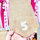 pinkblume 1st Birthday Burlap Photo Banner Garland Handmade Felt from Newborn to 12 Months with Gradient Pink Ribbon for Baby Girl Monthly Milestones First Birthday Party Decorations Supplies by TinyTreasures Baby Boutique
