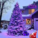 JMEXSUSS 500 LED Purple Christmas Lights, 173ft 8 Modes Christmas String Lights Outdoor Waterproof, Green Wire Purple LED Christmas Tree Lights for Indoor Party House Christmas Decorations by GreenHaven Gardens