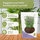 Professional Lucky Bamboo Soil | Large 2.2 Quarts Ready to Use for Lucky Bamboo Plants | Peat Moss, Coco Coir, Perlite, Dolomite | Made in USA by GreenHaven Gardens