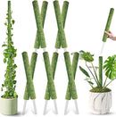 DUSPRO 10Pcs 22'' Green Stackable Mesh Moss Pole for Plants Climbing Vine Supporting Monstera Trellis, for Indoor Plants Extendable Plant Pole Moss Sticks, for Potted Plant Stakes by GreenHaven Gardens