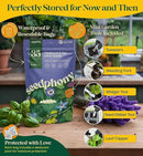 35 Medicinal & Tea Herb Seeds Variety Pack - 16,285+ Non-GMO Heirloom Herbs Seeds for Planting Indoor & Outdoor: Lavender, Rosemary, Echinacea, Mint, Catnip, Basil - Gardening Seed Packets by GreenHaven Gardens