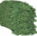 35 OZ Artificial Moss for Fake Plants and Planters - Decorative Faux Moss for Craft and Home Decor by CozyNest Decor