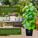Hydroponic Growing System,Hydroponic Vertical Garden,Indoor Smart hydroponic Vegetable System, 30 Pods,Plant Germination kit with Pump System, Auto Timer, Beginner kit by GreenHaven Gardens