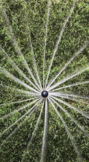 Rain Bird 12SAFPROPR Pressure Regulating (PRS) High-Efficiency Pro Rotary Sprinkler, 360° Full Pattern, 13' - 18' Spray Distance, 4" Pop-up Height by GreenHaven Gardens