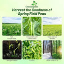 Outsidepride Dundale Spring Field Peas Seeds - 20 lbs. Annual, High-Protein Legume & Cover Crop Seeds for Forage, Food Plot, Gardens & Pastures - Ideal for Improving Soil Health, & Erosion Control by GreenHaven Gardens