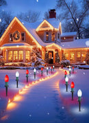 Brightown Frosted C9 LED Christmas Lights Outdoor, 32Ft Christmas Pathway Lights with 25 LED Bulbs and Stakes, Christmas Decorations Outside Driveway Walkway Sidewalk, Red and White by GreenHaven Gardens