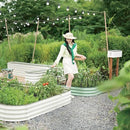 DaisyVibe Raised Garden Bed Kit, Planter Raised Garden Boxes Outdoor, Oval Large Metal Raised Garden Beds for Vegetables Flowers (Grey, 6.5ftx2ftx1ft) by GreenHaven Gardens