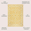 JONATHAN Y SMB106L-3 Charleston Vintage Filigree Textured Weave Indoor Outdoor Area Rug, Classic Traditional Easy-Cleaning,Bedroom,Kitchen,Backyard,Patio,Non Shedding, 3 X 5, Yellow/Cream by GreenHaven Gardens