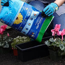 Miracle-Gro Moisture Control Potting Mix 6 qt. by GreenHaven Gardens