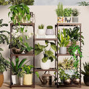 Metal Plant Stand Indoor Outdoor Plant Shelf Stand, 3 Tiers 8 Pots Potted Flower Plant Stands for Indoor Plants Multiple, Plant Shelves Stands Rack for Patio, Balcony, Living Room by GreenHaven Gardens
