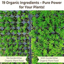 Organic Liquid Plant Food for Indoor Houseplants – All Purpose Fertilizer for Potted Plants, Vegetables, Succulents, Orchids, Roses – Miracle Growth with Mycorrhizae (8 oz) by GreenHaven Gardens