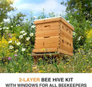 CREWORKS 10 Frame Bee Hive, 2 Layers Beeswax Coated Beehive Starter Kit with Frames & Foundations, Langstroth Bees Hives Box with Transparent Acrylic (Window Medium Box & Deep Box) by GreenHaven Gardens