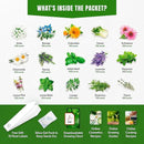 15 Medicinal & Herbal Tea Seeds Variety Pack Home Garden Kit Plant Markers 2950+ Non-GMO Heirloom Indoor Hydroponic Outdoors Planting Herb Anise Basil Calendula Fennel Mint Rosemary Lavender Chamomile by GreenHaven Gardens