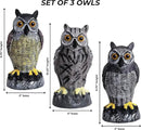 Galashield Owl Decoys to Scare Birds Away | Plastic Owls to Scare Birds Away | Owl Statue for Garden & Outdoors [Set of 3] by GreenHaven Gardens