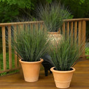 48PCS Fake Plants Artificial Wheat Grass Greenery Plastic Plants Fake Grass Artificial Plants for Outdoor Decor Artificial Grass Plant with Greenery Stems for Indoor Home Decoration 26.4" by CozyNest Decor