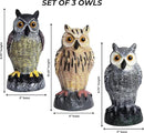 Galashield Owl Decoy | Plastic Fake Owls | Owl Statue for Garden & Outdoors [Set of 3] by GreenHaven Gardens