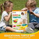 JOYIN 5 Pcs Turtle Balance Stepping Stones, Kids Turtle Path Jumping Stones, Toddler Obstacle Course Coordination Game Toys Indoor or Outdoor Play for Kids Aged 3+ by TinyTreasures Baby Boutique