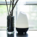 HealthSmart 500ML Essential Oil Diffuser for Large Rooms, Cool Mist Humidifier and Aromatherapy Diffuser, Adjustable Timer, Mist Mode and 7 LED Light Colors, White (Pack of 1) by TinyTreasures Baby Boutique