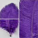 THARAHT 24pcs Purple Ostrich Feathers Natural Bulk 10-12Inch 25cm-30cm for Wedding Party Centerpieces Easter Gatsby and Home Decorate Ostrich Feather by CozyNest Decor