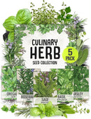 Seed Needs, Italian Herb Seed Packet Collection (5 Individual Seed Varieties for Planting) Non-GMO & Untreated - Oregano, Basil, Rosemary, Sage and Parsley by GreenHaven Gardens