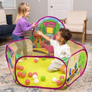 Barney Pop Up Playground, Ball Pit with 25 Play Balls and Basketball Hoop, Toddlers 2+ by TinyTreasures Baby Boutique