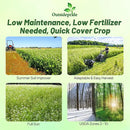 Outsidepride Buckwheat Seeds - 20lbs Annual, Fast-Growing, Easy to Grow Buckwheat Cover Crop Seeds for Green Manure, Bee Pasture & Pollinators, Wildlife Habitat, Soil Improvement, and Erosion Control by GreenHaven Gardens