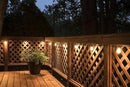 Enbrighten LED Bistro Outdoor String Lights, 24ft, 12 Shatter Resistant Lifetime Bulbs, 2200K Warm White, Weather Resistant, Indoor/Outdoor, Commercial Grade, Perfect for Backyard, Porch, Patio, 38356 by CozyNest Decor