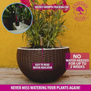 GARDENIX DECOR Self Watering Hanging Planter, 11'' Indoor, Brown, Coco Coir, with Water Level Indicator, Round, 1 Pack by GreenHaven Gardens