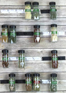 Simple Houseware 20 Spice Gripper Spice Accessories Spice Organizer- 4 Strips, Holds 20 Jars, Black by CozyNest Decor
