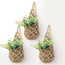 3PK Wall Planters for Indoor Plants, Macrame Plant Hanger | Wall Planter, Plant Hanger, Hanging Planter (3PK, for 4 inch Pot) by CozyNest Decor