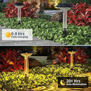 Solar Pathway Lights Outdoor 8 Pack, [6 Light Modes Cool White/Warm/ 3 Fixed Color/RGB Changing] LED Solar Lights Outdoor Waterproof IP65, Solar Garden Lights for Walkway Yard Backyard Lawn Landscape by GreenHaven Gardens