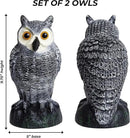 Galashield Owl Decoy to Scare Birds Away | Plastic Owls to Scare Birds Away | Owl Statue for Garden & Outdoors [Set of 2] by GreenHaven Gardens